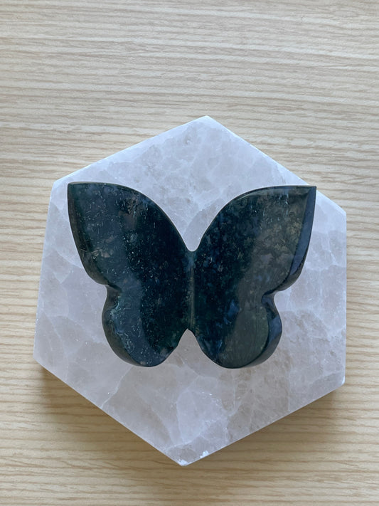 Moss agate butterfly on white hexagon