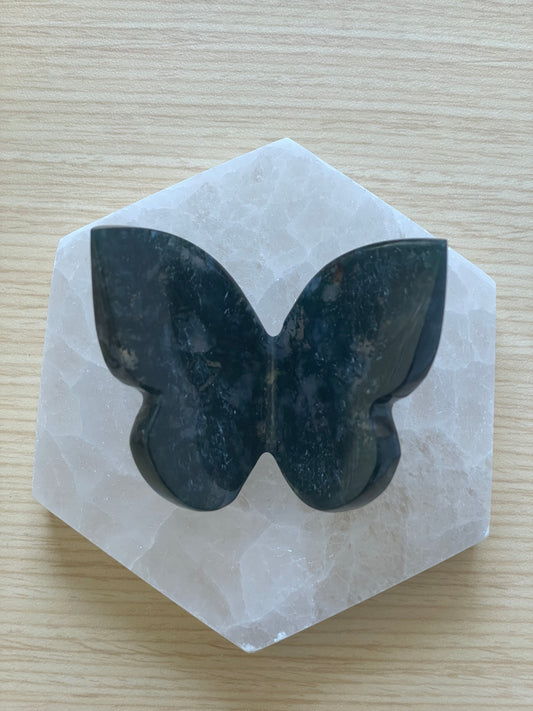 Moss agate butterfly displayed on white hexagon.