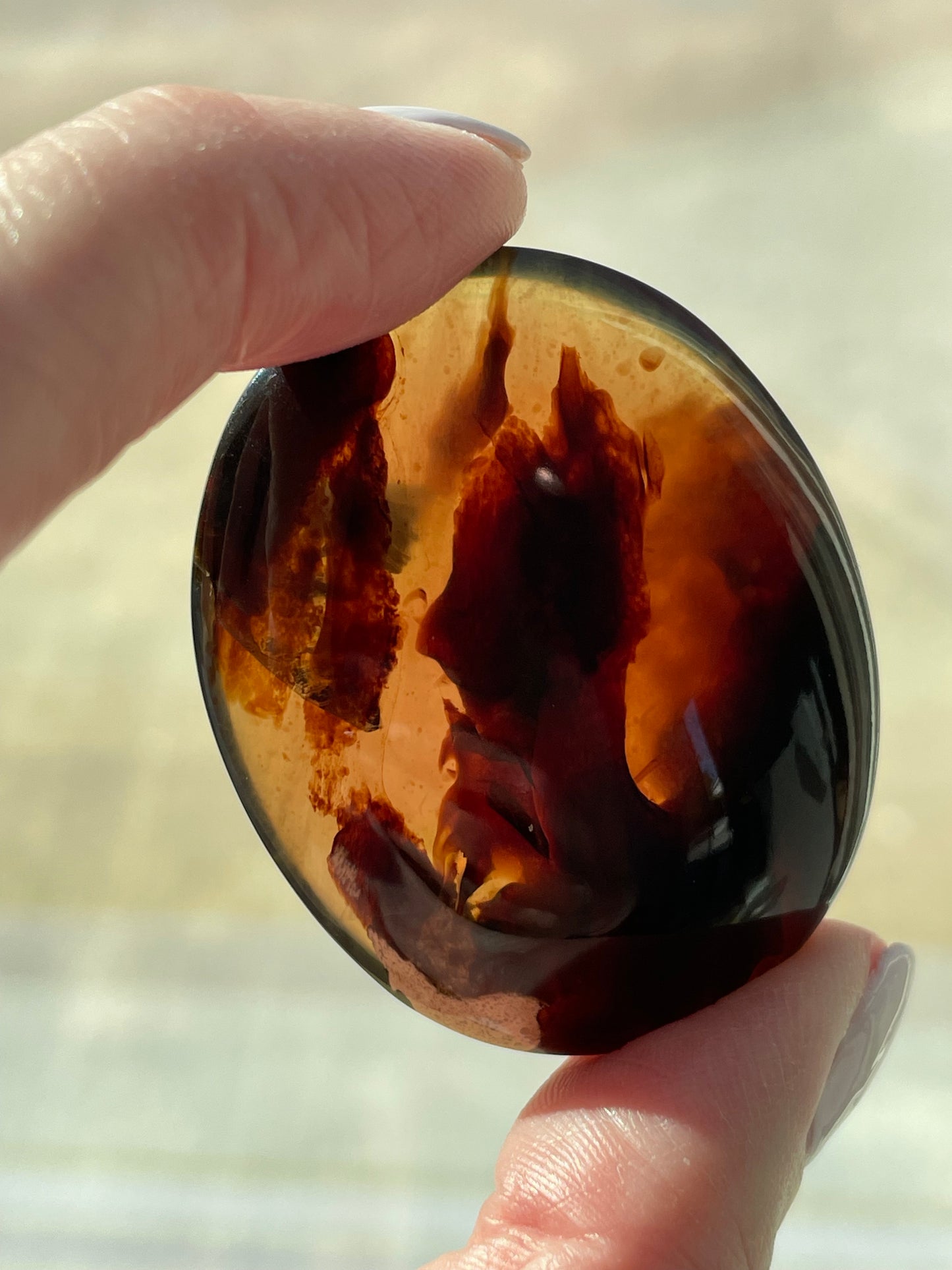 Ancient Amber Palm Stone