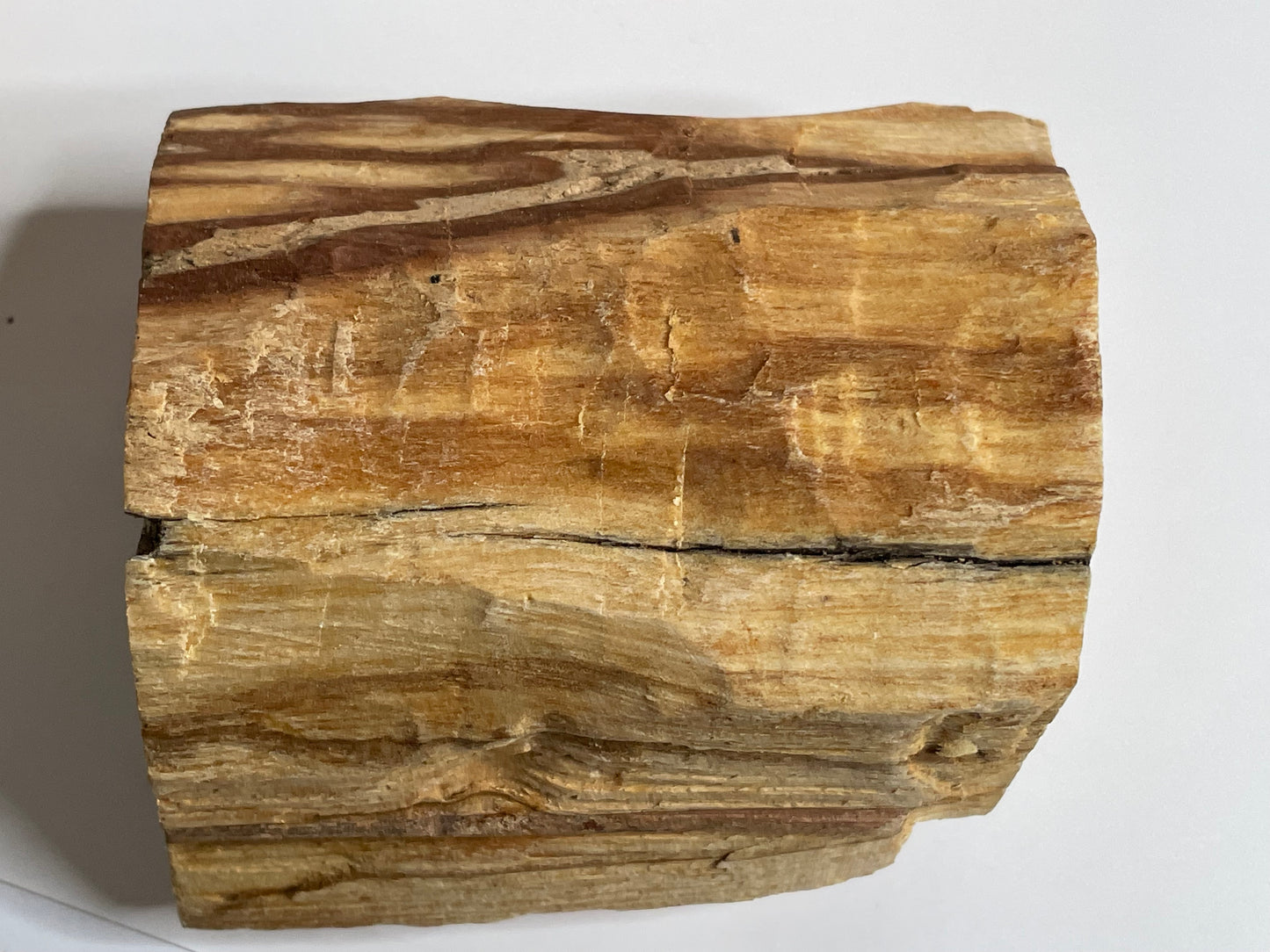 Palo Santo Chunk - Medium