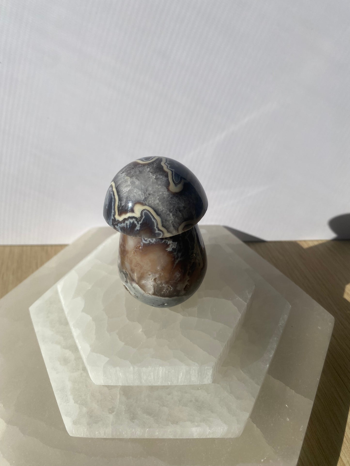 Polished Black Lotus Jasper mushroom stone.