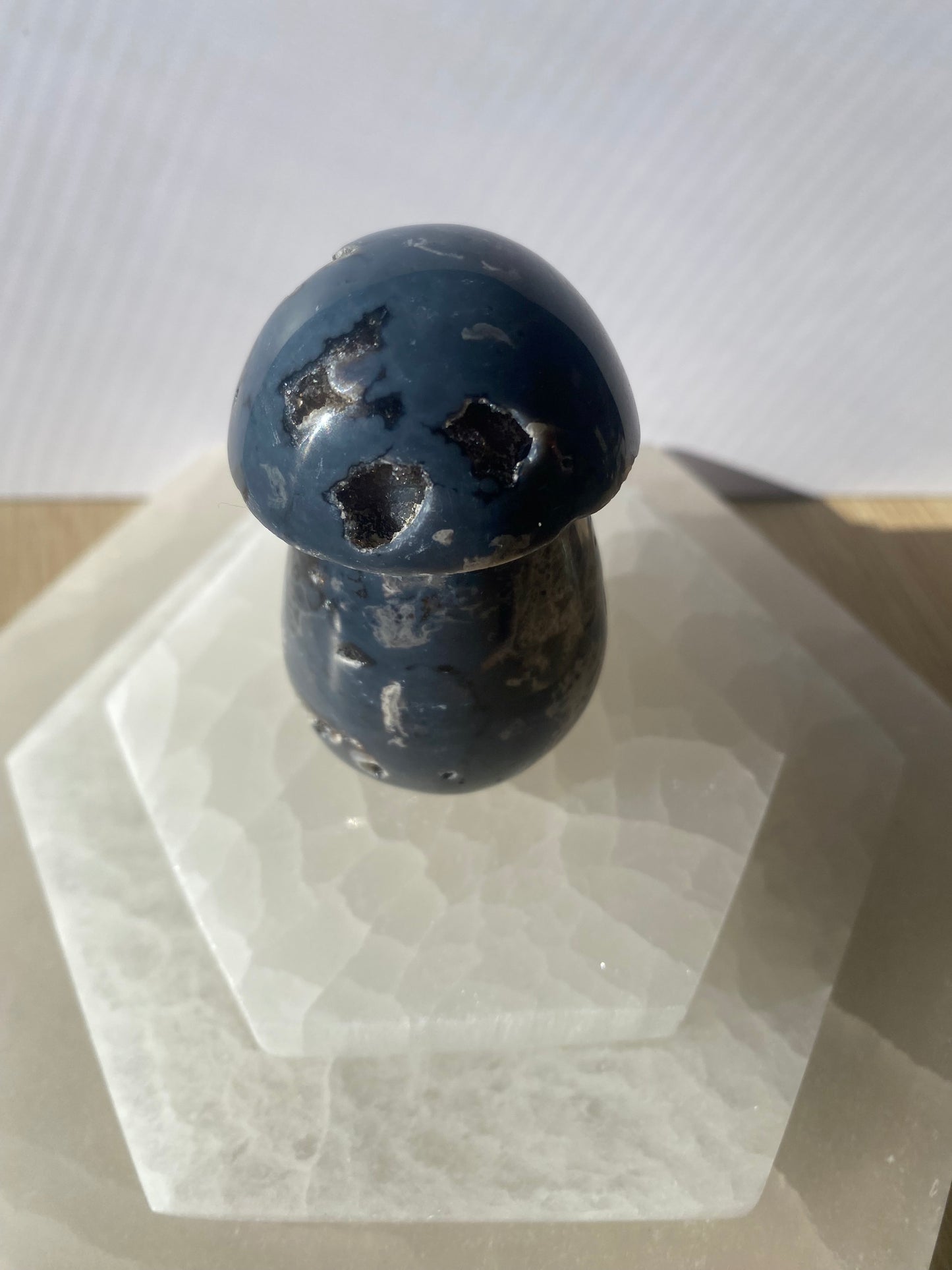 Healing Black Lotus Jasper mushroom crystal for grounding.