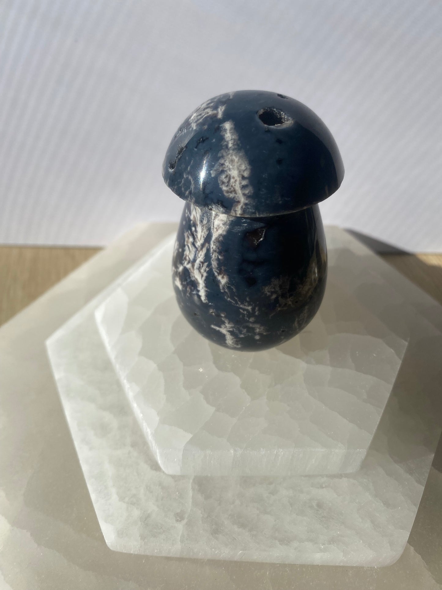 Black Lotus Jasper mushroom crystal on white background.