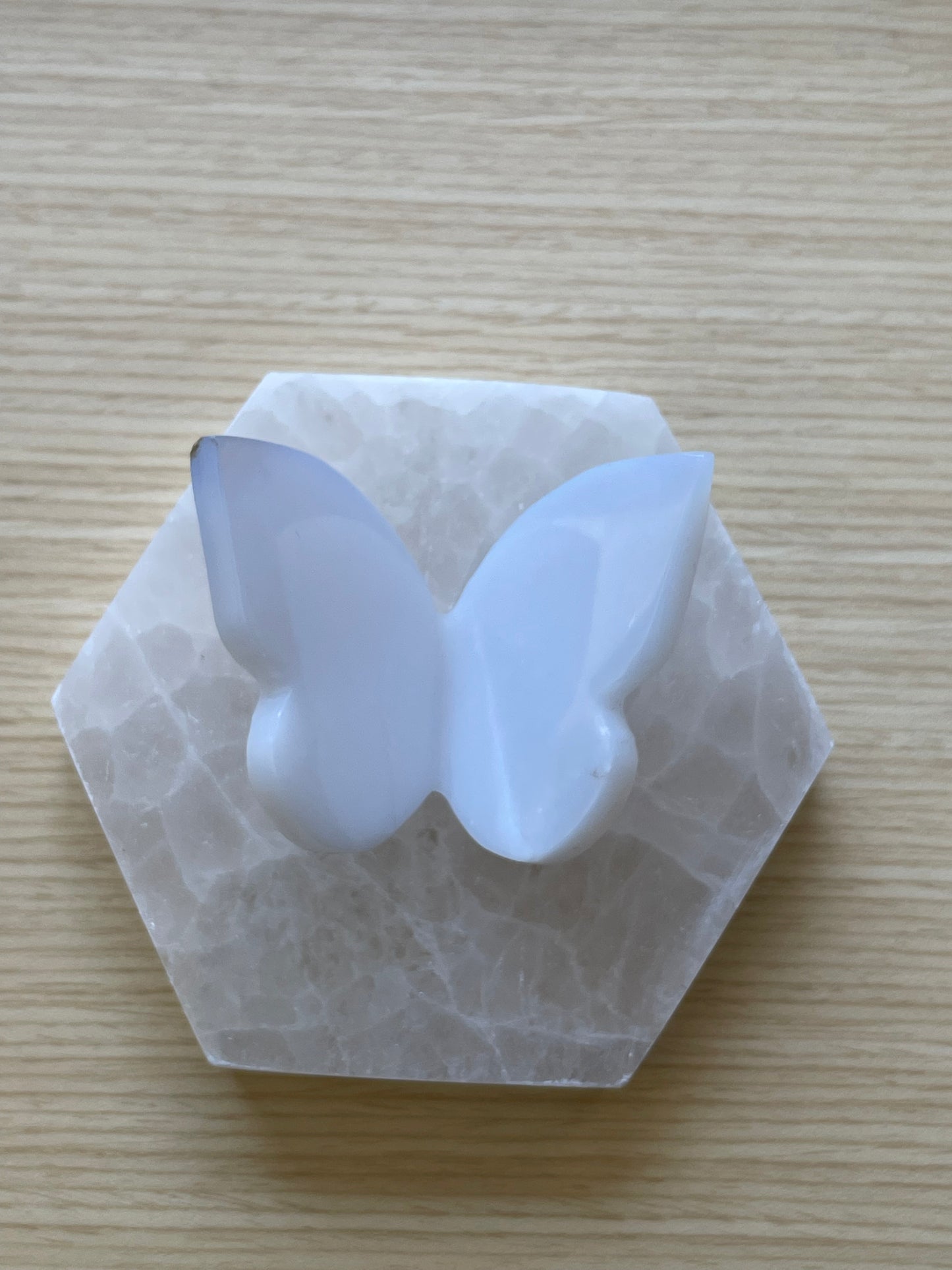 Blue Chalcedony Butterfly 005