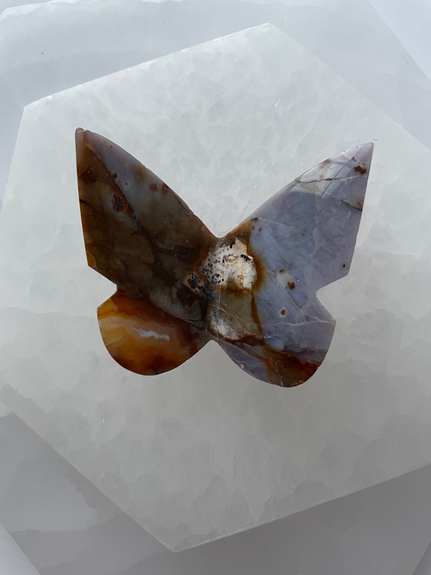 Purple Plume Agate Butterfly 006
