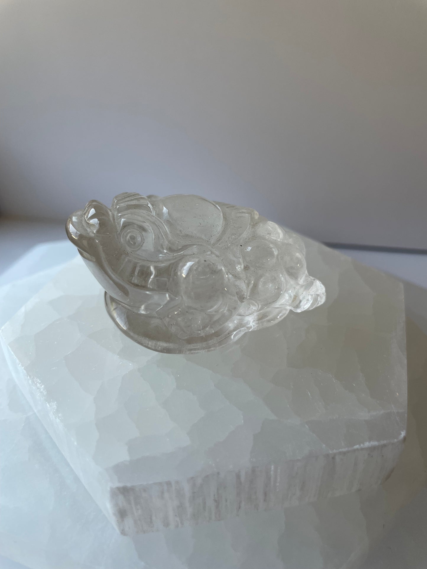 Hand Carved Clear Quartz Money Toad