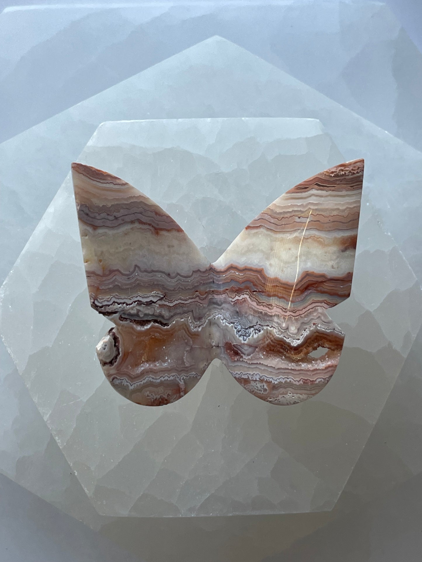 Crazy Lace Agate Butterfly 4
