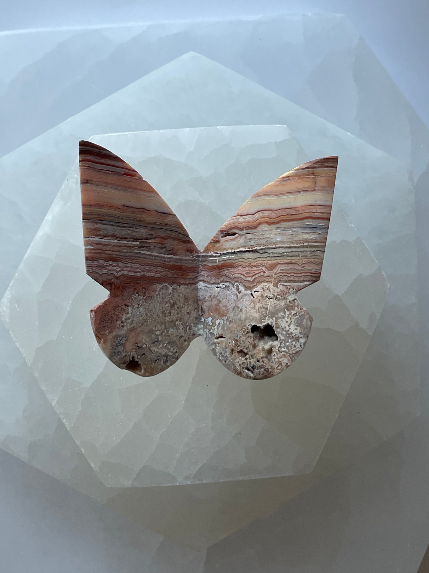 Crazy Lace Agate Butterfly 7