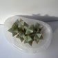 Green Aventurine Merkaba