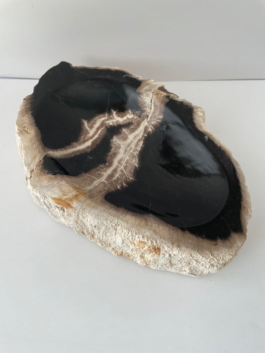 Petrified Wood Bowl B