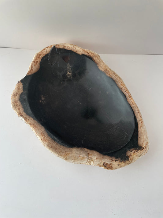 Petrified Wood Bowl A
