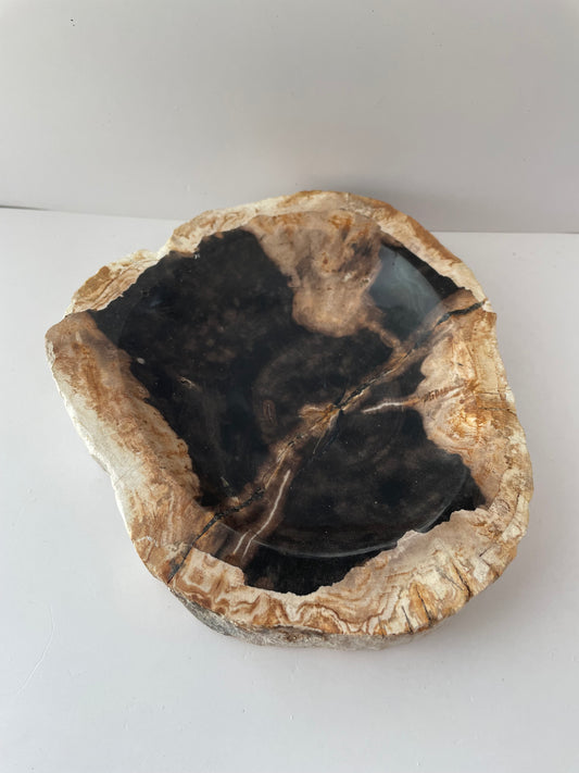 Petrified Wood Bowl C