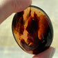 Ancient Amber Palm Stone