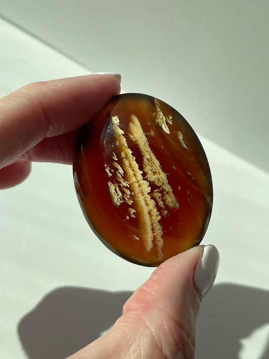 Ancient Amber Palm Stone