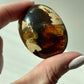 Ancient Amber Palm Stone