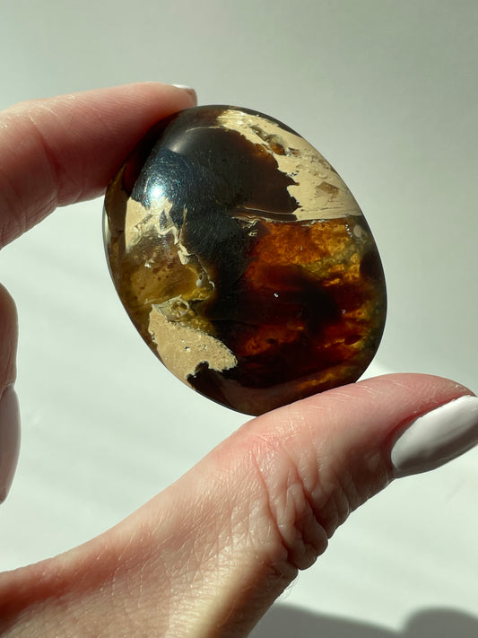 Ancient Amber Palm Stone