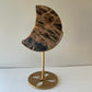 Black Moonstone Moon with Stand