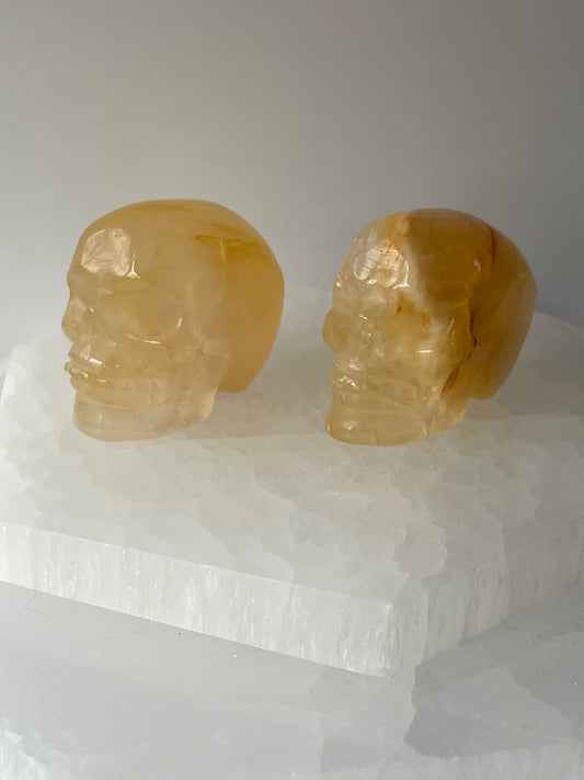 Golden Healer Mini Skull
