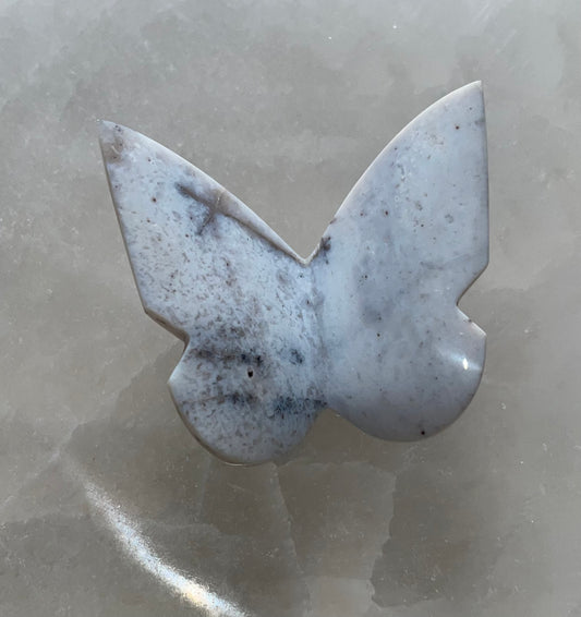 Snow Agate Butterfly 034