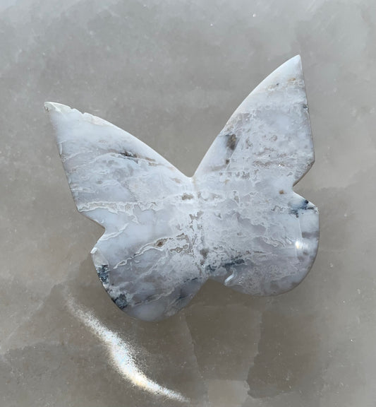 Snow Agate 031