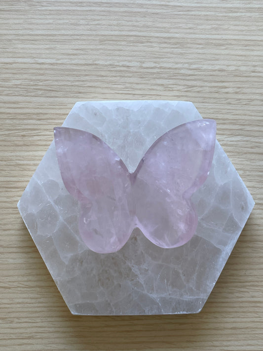 Rose Quartz Butterfly 005