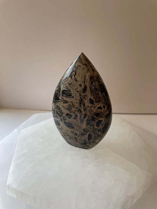 Palm Root with Pyrite Flame