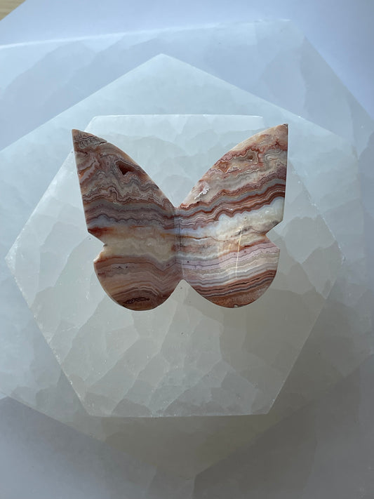 Crazy Lace Agate Butterfly 1