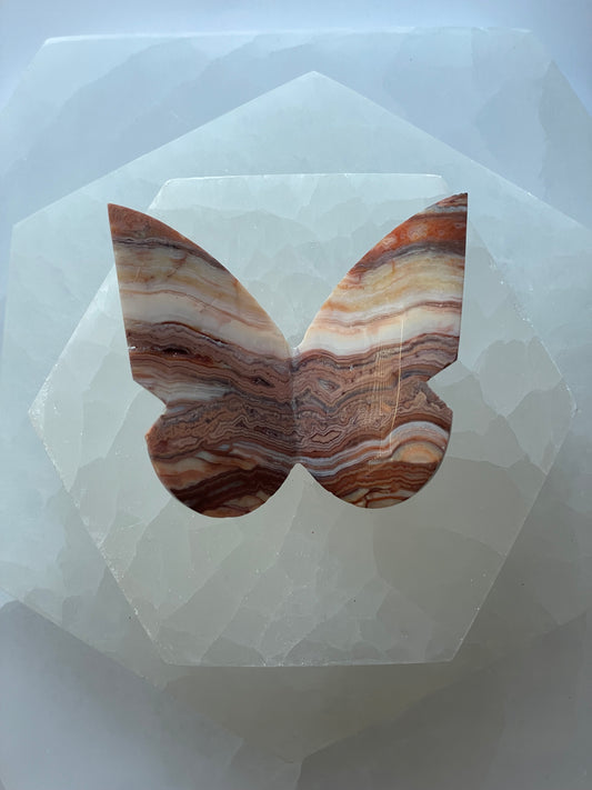 Crazy Lace Agate Butterfly 2