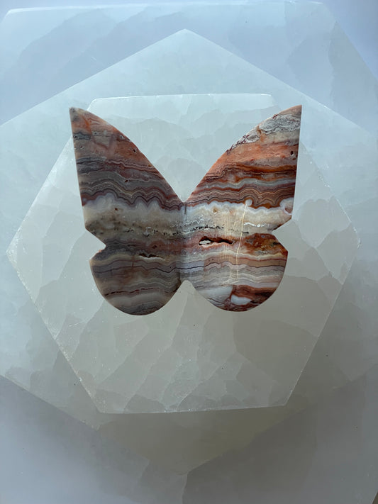 Crazy Lace Agate Butterfly 3