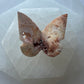 Crazy Lace Agate Butterfly 9