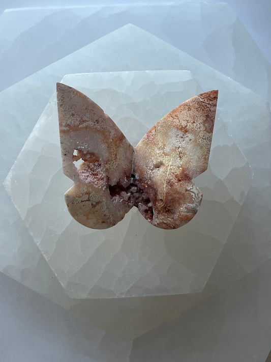 Crazy Lace Agate Butterfly 9