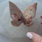 Crazy Lace Agate Butterfly 9