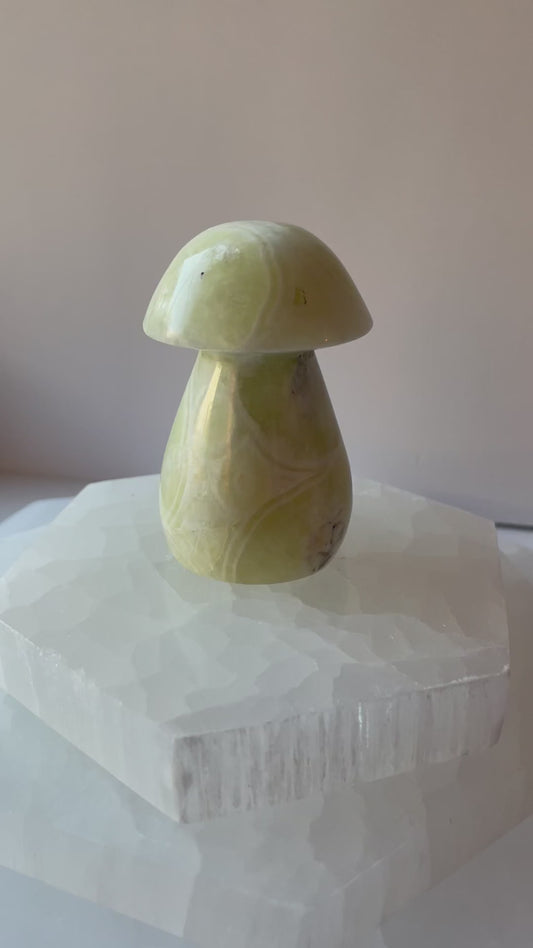 Green Maligano Jasper palm crystal on white surface.