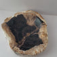 Petrified Wood Bowl C
