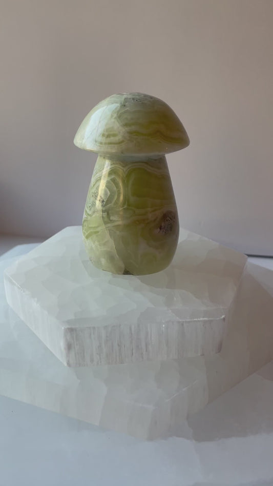 Grounding Green Maligano Jasper crystal video