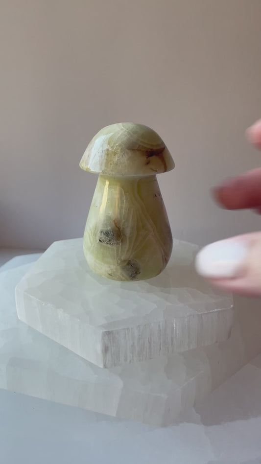Polished Green Maligano Jasper mushroom stone.